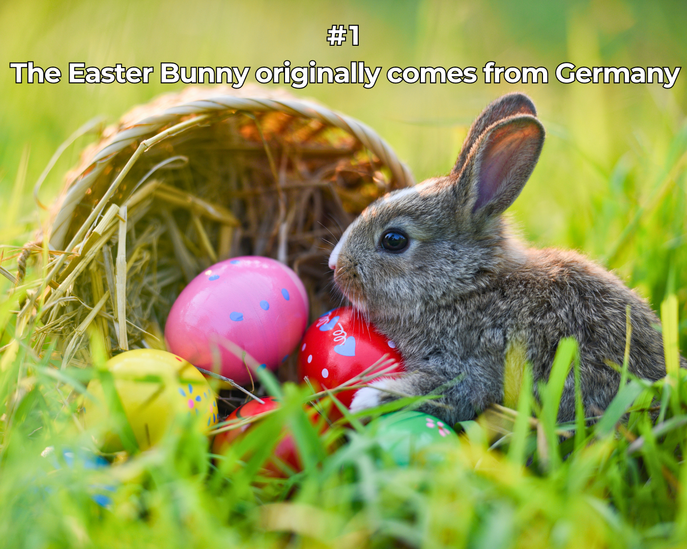 10 fun facts about Easter you maybe never knew